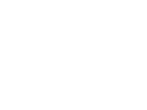 logo (12)