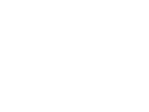 logo (16)