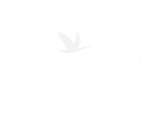 logo (18)