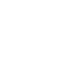 logo (21)