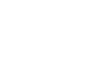 logo (31)
