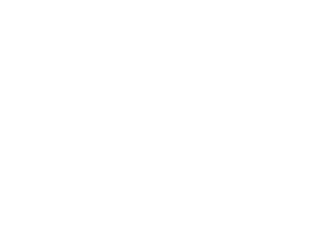 logo (8)