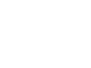 logo (9)
