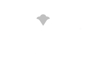 micro logo